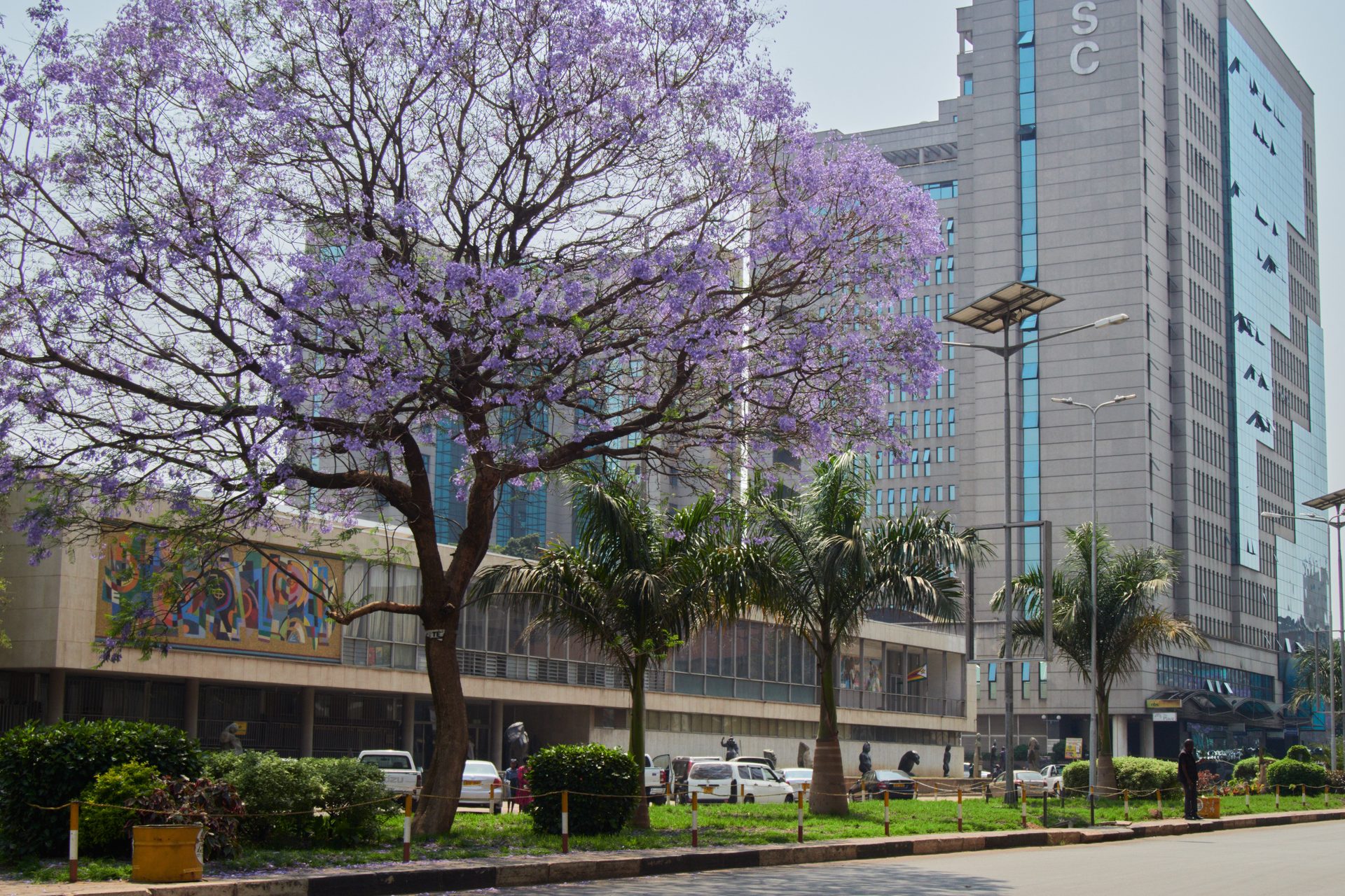 Harare skyline